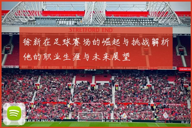 徐新在足球赛场的崛起与挑战解析他的职业生涯与未来展望