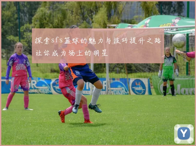 探索sfs篮球的魅力与技巧提升之路让你成为场上的明星